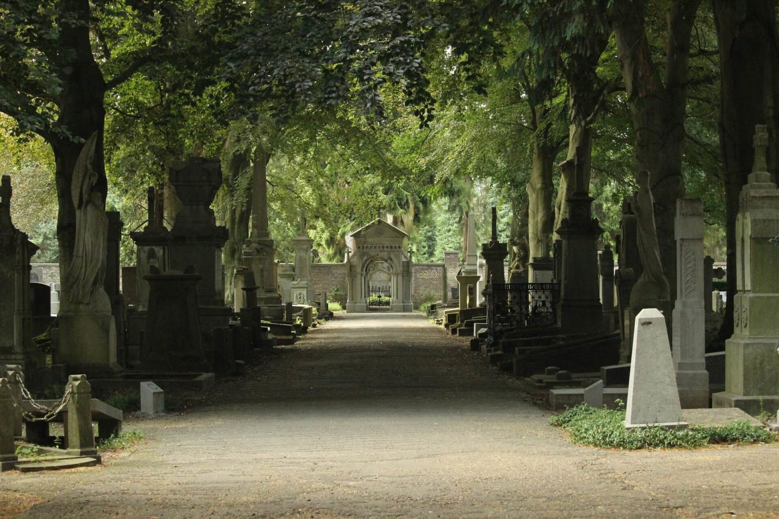 Demain, Dès l'Aube... - Poème de Victor Hugo - Les ...